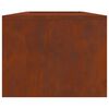 vidaXL Feuerstelle Braun 160 x 45 x 35 cm Stahl