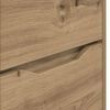 vidaXL Aufbewahrungsschrank Artisan-Eiche 60 x 48 x 57 cm