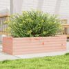 vidaXL Pflanzk&uuml;bel 90x40x23 cm Massivholz Douglasie