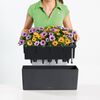 LECHUZA Blumenkasten Balconera Color 80 ALL-IN-ONE Schiefergrau 15683