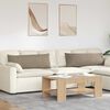 vidaXL Sofakissen 2 St&uuml;ck Taupe 120 x 40 cm Stoff