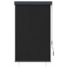 vidaXL Au&szlig;enrollo 100 x 250 cm Anthrazit