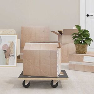 vidaXL Transportroller 2 Stk. Rechteckig 50x35x11,5 cm 250 kg