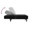 vidaXL Schlafsofa 2-Sitzer Schwarz Samt