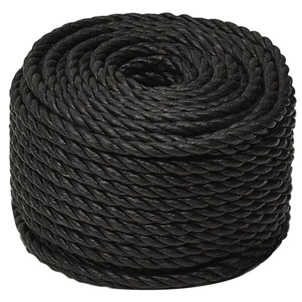 vidaXL Arbeitsseil Schwarz 14 mm 50 m Polypropylen
