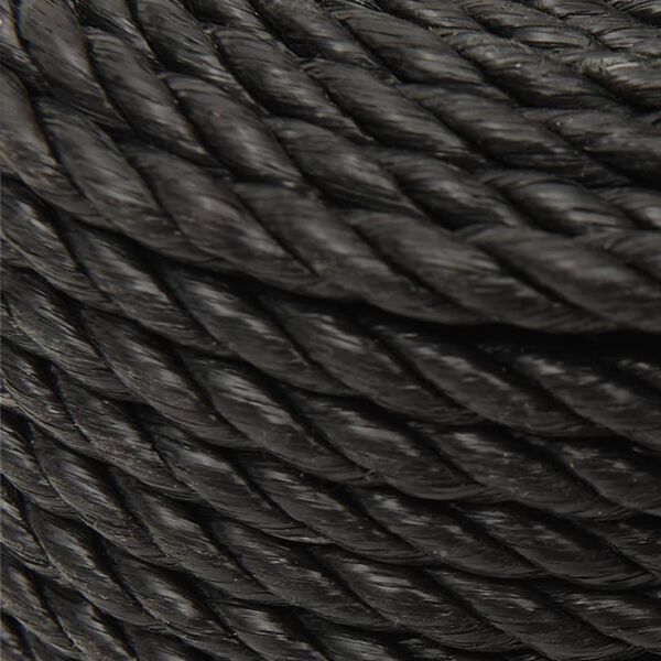vidaXL Arbeitsseil Schwarz 12 mm 50 m Polypropylen