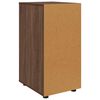 vidaXL Aufbewahrungsschrank Braun Eichen-Optik 40 x 48 x 81 cm