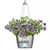 LECHUZA Blumenampel NIDO Cottage 35 ALL-IN-ONE Granitgrau
