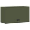 Olive_green