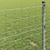 vidaXL Eurozaun 1,2 x 10 m PVC-beschichtetes Eisen