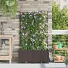 vidaXL Garten-Pflanzgef&auml;&szlig; 2 pcs Braun Stahl