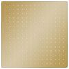 vidaXL Regenbrause Edelstahl 40x40 cm Quadrat Golden