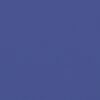 vidaXL Seitenmarkise Ausziehbar Blau 120x500 cm