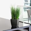 LECHUZA Tisch-Pflanzgef&auml;&szlig; QUADRO LS 21 ALL-IN-ONE Kohlegrau-Metallic