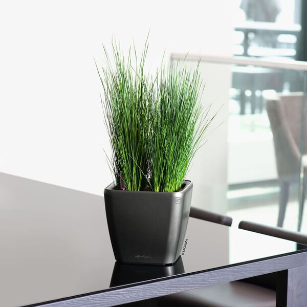 LECHUZA Tisch-Pflanzgef&auml;&szlig; QUADRO LS 21 ALL-IN-ONE Kohlegrau-Metallic