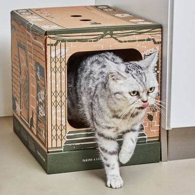 Poopy Cat Katzenklo aus Pappe 4 Stk. Braun LITBOX4