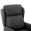 vidaXL Liegestuhl Dunkelgrau 66,5 x 94 x 101,5 cm Polyester