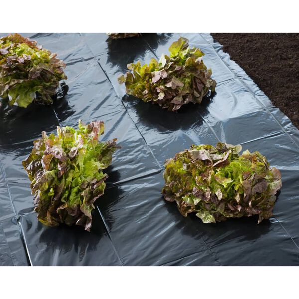 Nature Abdeckfolie 4x6 m 50&micro; Schwarz