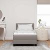 vidaXL Boxspringbett mit Matratze Taupe 100 x 200 cm Stoff
