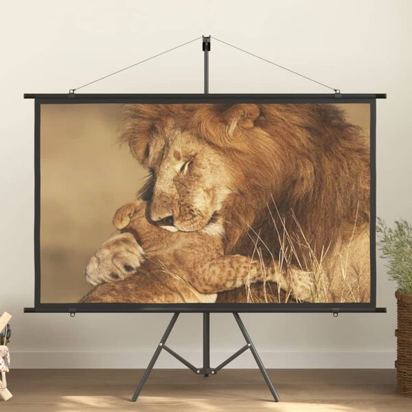 vidaXL Beamer Leinwand 72" 16:9