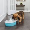 PetSafe Haustier-Trinkbrunnen Drinkwell mit Schmetterling 1,5 L