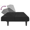 vidaXL Schlafsofa 2-Sitzer Schwarz Samt