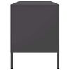 vidaXL TV-Schrank Schwarz 100,5x39x50,5 cm Stahl