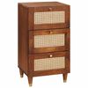 vidaXL Sideboard Braun 40 x 33,5 x 75 cm Massivholz Mango
