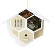 Avenue Mandarine Kreativ-Box Bug House to Build