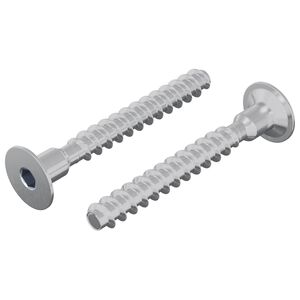 vidaXL Schraube 2 stk. Zink-beschichtet 5 x 40 mm Eisen