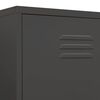 vidaXL Kleiderschrank Anthrazit 90x50x180 cm Stahl