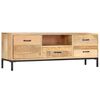 vidaXL TV-Schrank 130x30x45 cm Massivholz Mango