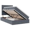 vidaXL LED-Speicherbett mit Matratze Dunkelgrau 120 x 190 cm Samt