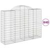 vidaXL Gabionen mit Hochbogen 40Stk. 200x50x140/160cm Verzinktes Eisen