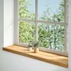 vidaXL Fensterb&auml;nke 2 Stk. Hellbraun 100x25x2 cm Massivholz Eiche