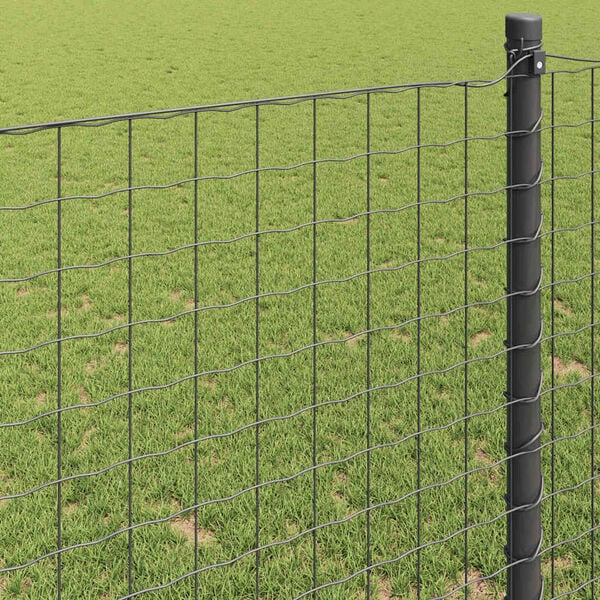 Produktbild 4 von 13 anzeigen