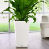 LECHUZA Pflanzgef&auml;&szlig; CUBICO Cottage 30 ALL-IN-ONE Wei&szlig;