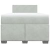 vidaXL Boxspringbett mit Matratze Hellgrau 120x190 cm Samt
