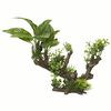 Aqua d'ella Aquariumpflanze Flora Scape 5 Gr&ouml;&szlig;e XL 234/432099