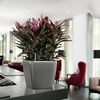 LECHUZA Blumentopf QUADRO LS 35 ALL-IN-ONE Set Anthrazit 16163