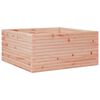 vidaXL Pflanzk&uuml;bel 100x100x46 cm Massivholz Douglasie