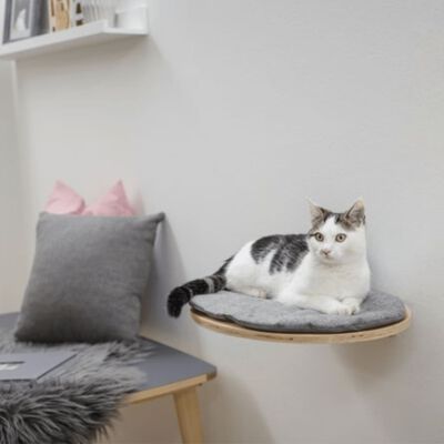 Kerbl Wandliegebrett für Katzen Tofana 35 x 50 cm Grau 81543