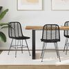 vidaXL Esszimmerstuhl 2 pcs Schwarz 44 x 47 x 85 cm Rattan und Eisen