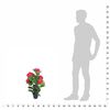 Produkt-Miniaturbild 3 von 3