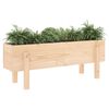 vidaXL Hochbeet 101x30x38 cm Massivholz Kiefer