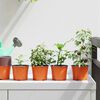 vidaXL Blumentopf 50 pcs Keramik &Oslash; 15 x 12,5 cm Kunststoff