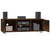vidaXL TV-Schrank R&auml;uchereiche 120x40,5x35 cm Holzwerkstoff