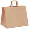 vidaXL Papiertragetaschen 250 Stk. mit Henkeln Braun 32x22x24 cm