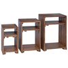 vidaXL Akzenttisch mit Regal 3 stk. Braun Massives Mahagoni Holz