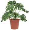 vidaXL Runder Blumentopf 6 pcs Ziegelrot &Oslash; 19 x 16 cm Kunststoff